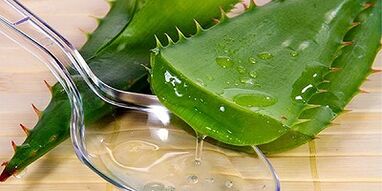bacaklardaki varisli damarların tedavisi için aloe suyu